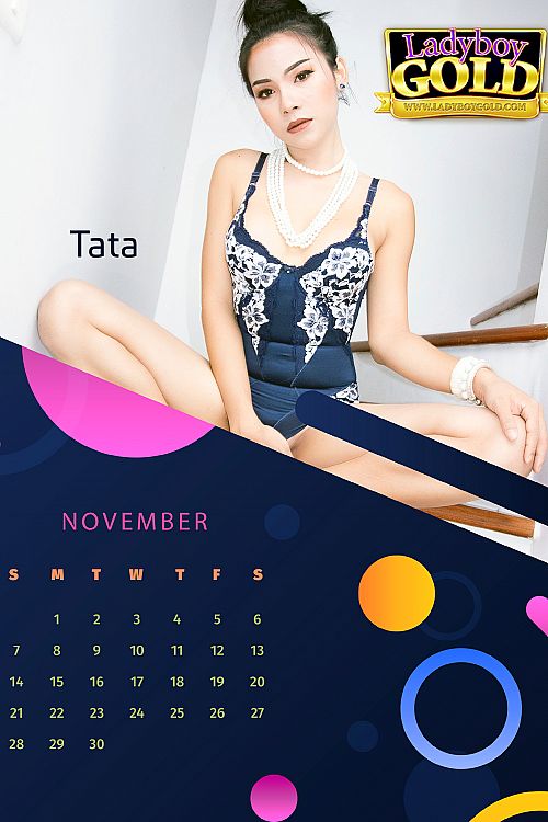 2021 Calendar - November